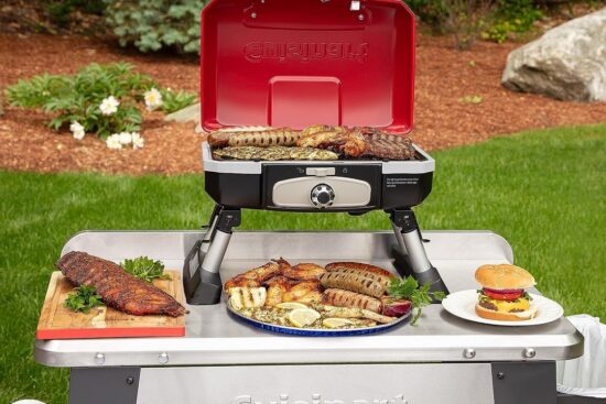 Cuisinart Portable Gas Grills Elevate Your Outdoor Experience