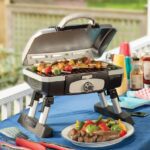 Cuisinart CGG-180T Petit Gourmet Portable Propane Gas Grill | Review 2023