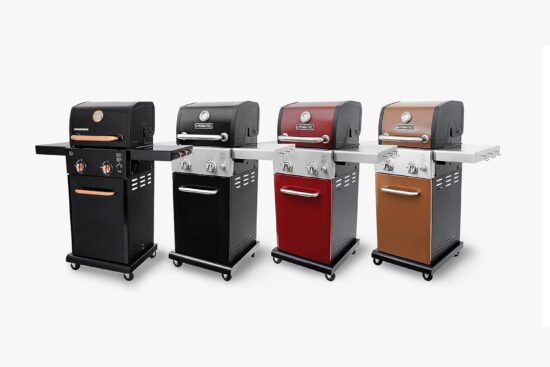 Permasteel 2-Burner Gas Grill