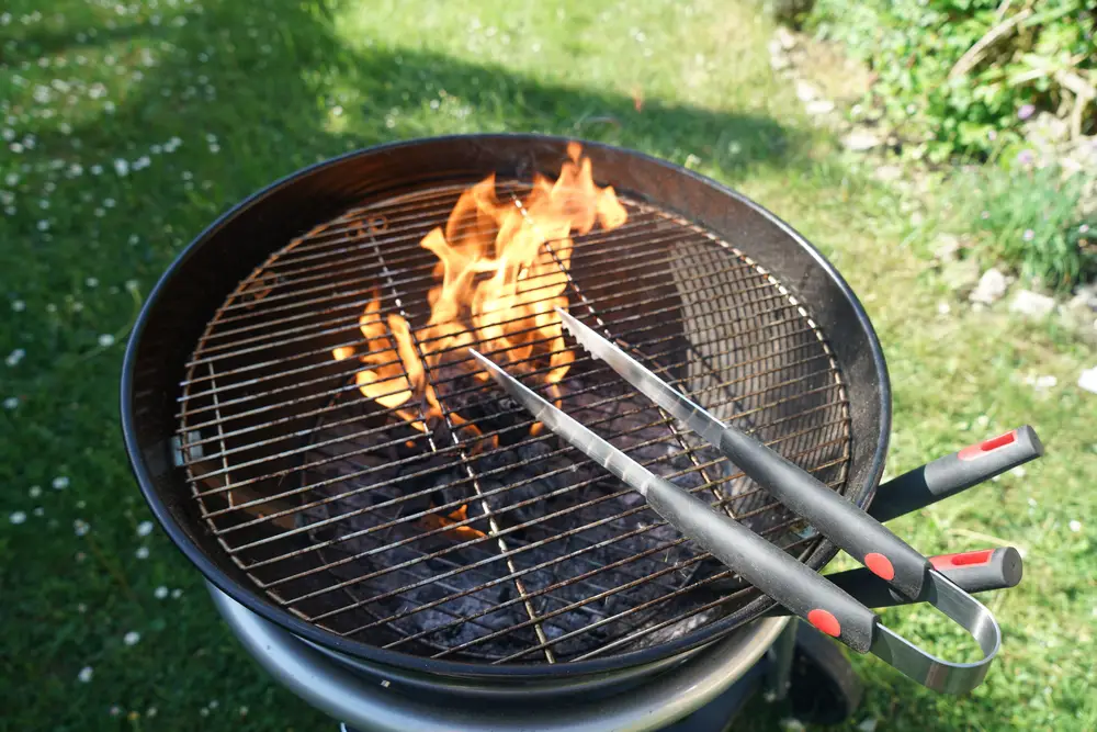 What Is The Healthiest Type Of Grill?