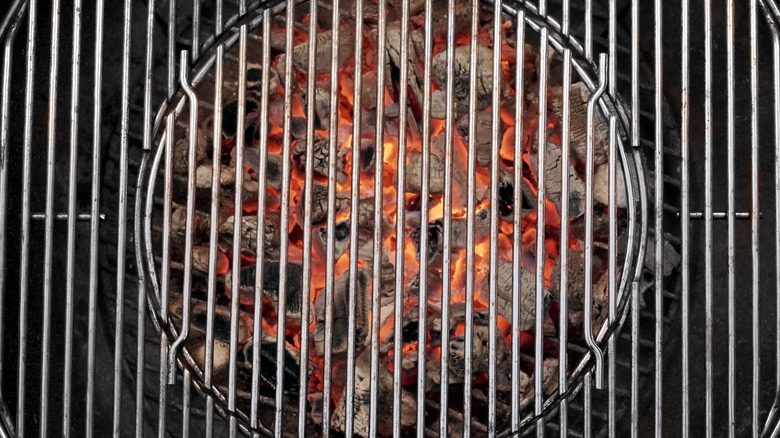 The Absolute Best Type Of Fish To Grill, According To An Expert